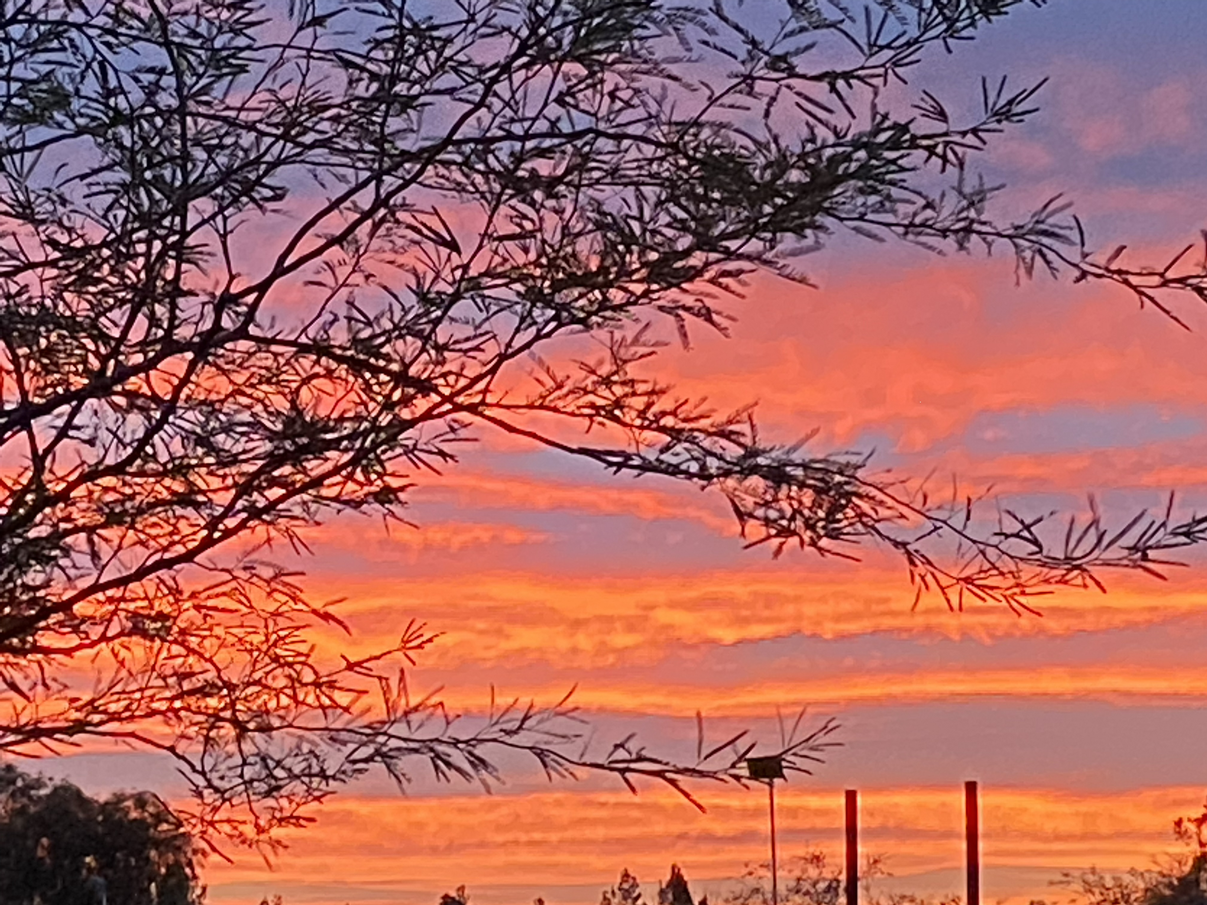 Stunning sunset over Windrock Farm